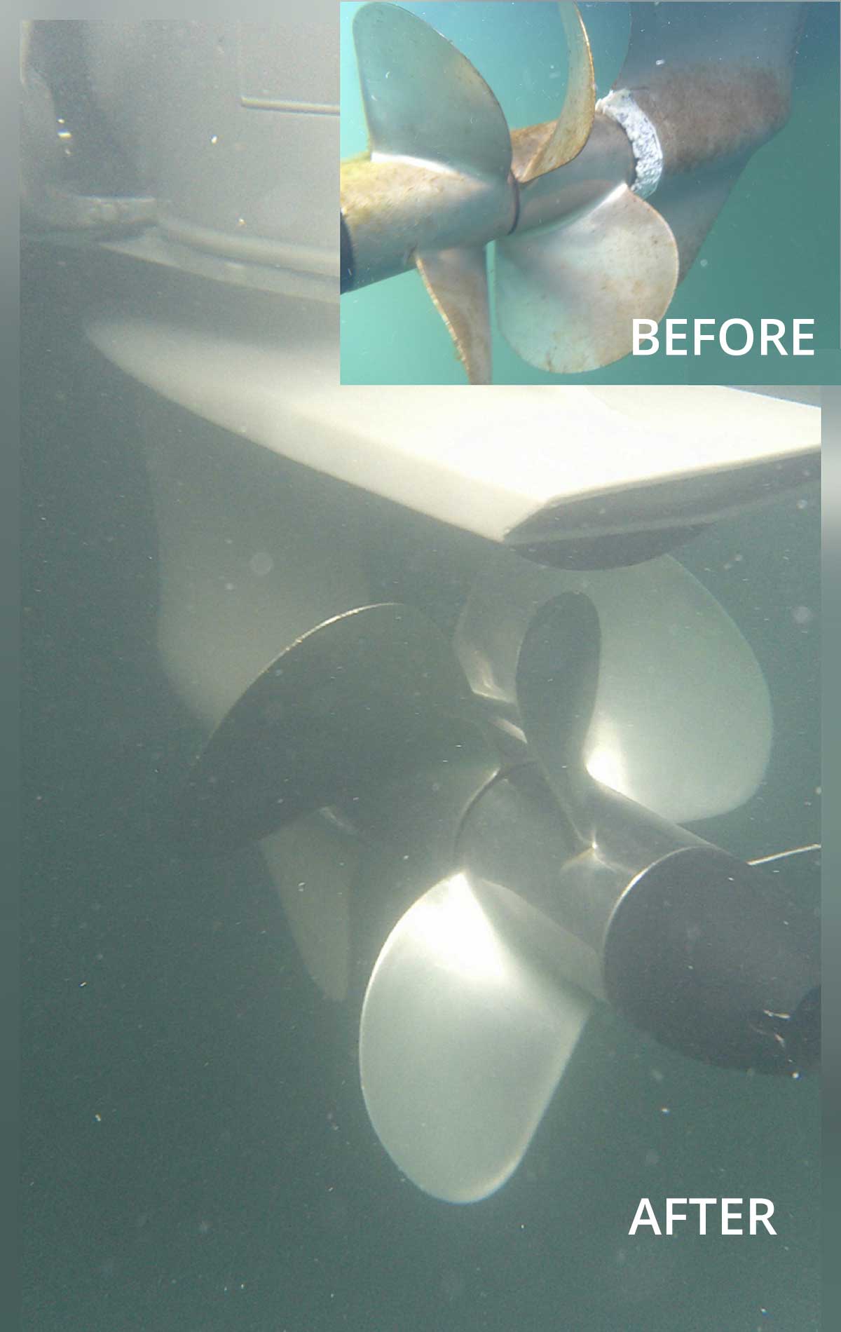 Professional Dive Before and After