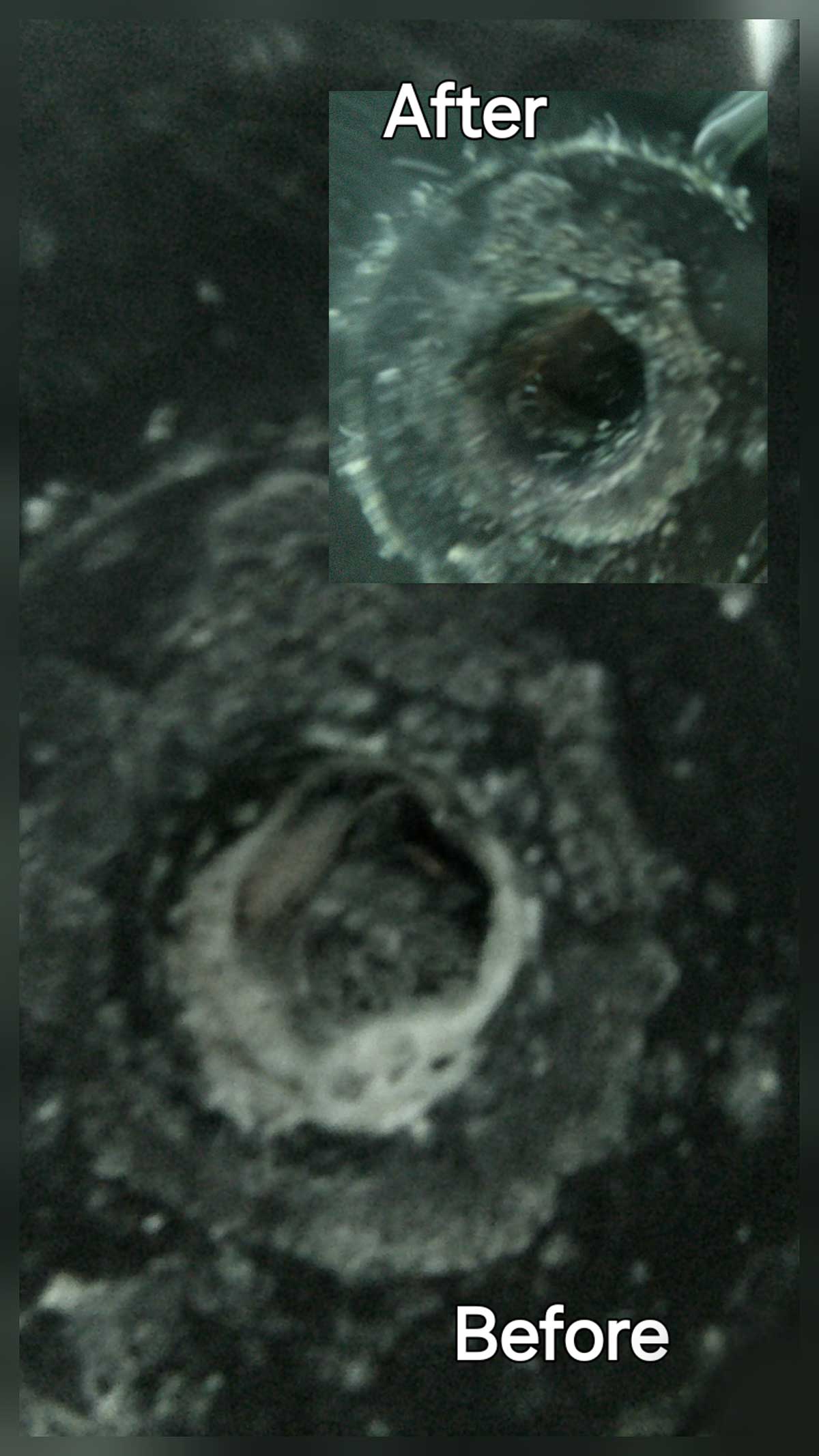 Before and After Professional Dive