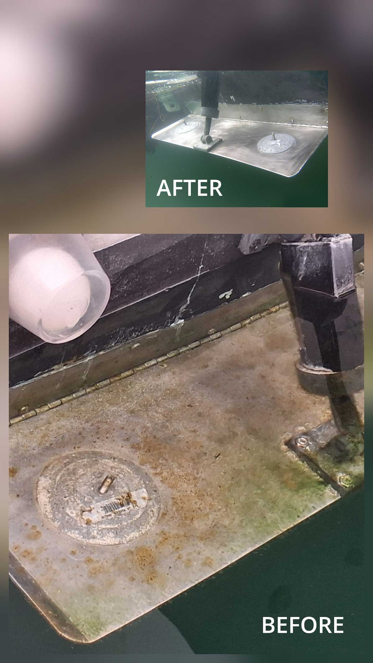 Before and After Dive