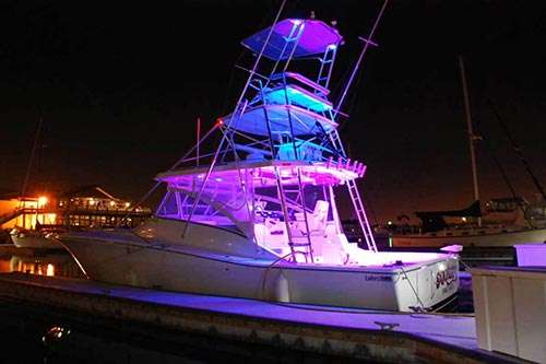 Boat Hull Cleaning Experts