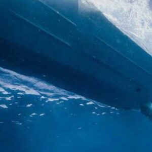 Professional Dive Service - Hull Inspection