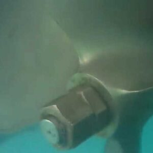 Professional Dive Service - Anode Replacement