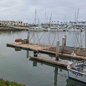 Professional Dive Service - Cleaning Boat Docking Station