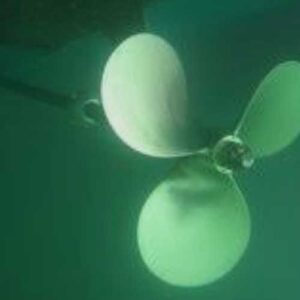 Professional Dive Service - Underwater Photography