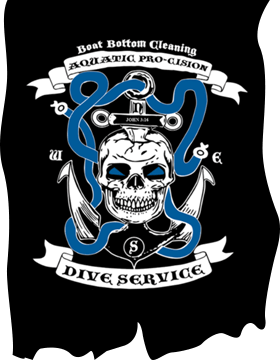 Aquatic Pro-Cision Dive Service